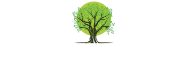 Olive Tree Towcester Logo